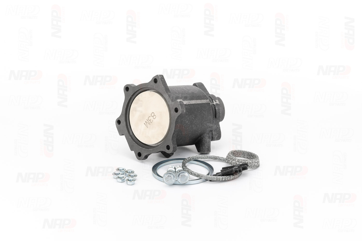 NAP Katalysator cak10192 for NISSAN