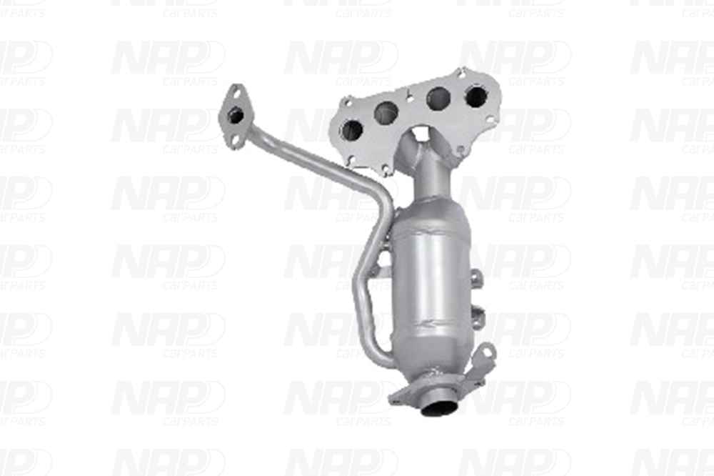 NAP Katalysator cak11502 for TOYOTA