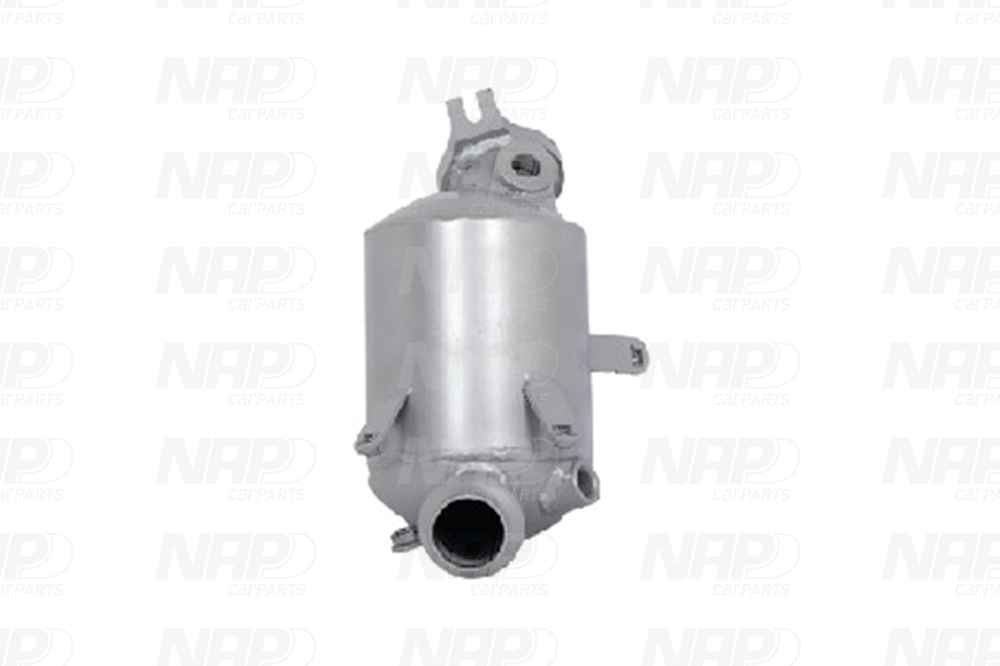 NAP Katalysator cak11511 for NISSAN DACIA