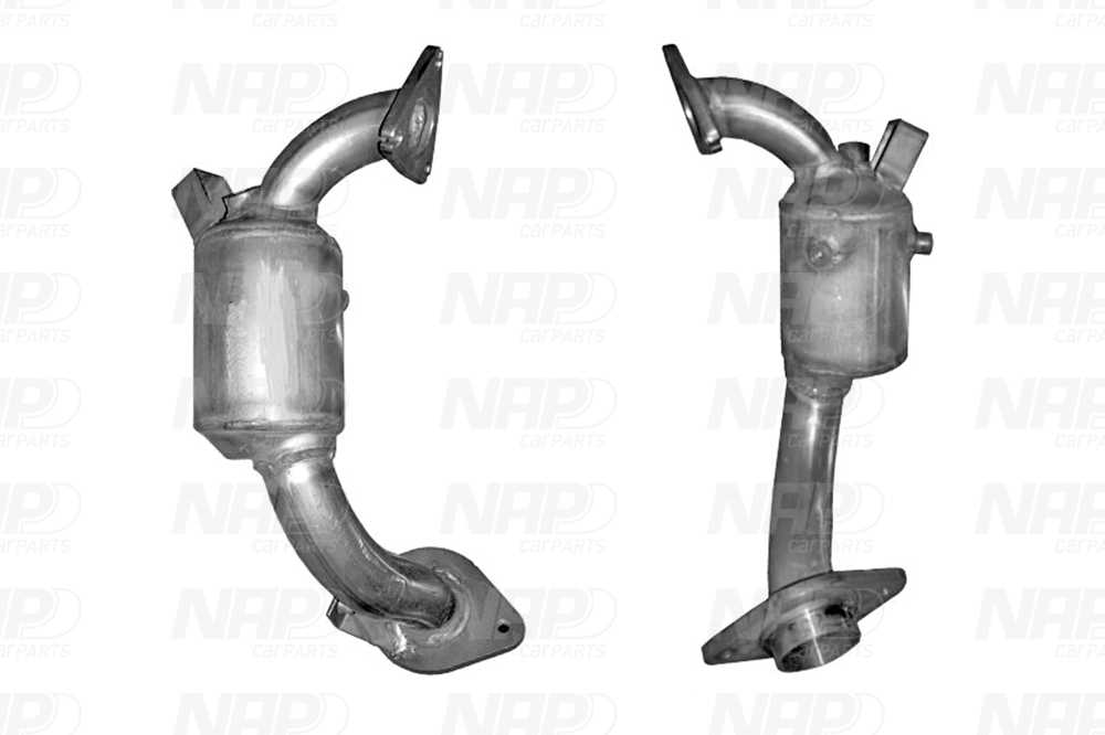 NAP Katalysator cad10481 for TOYOTA
