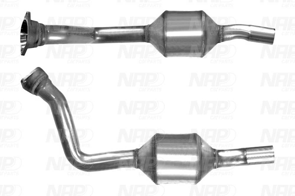 NAP Katalysator cak10128 for PEUGEOT FIAT CITROËN LANCIA