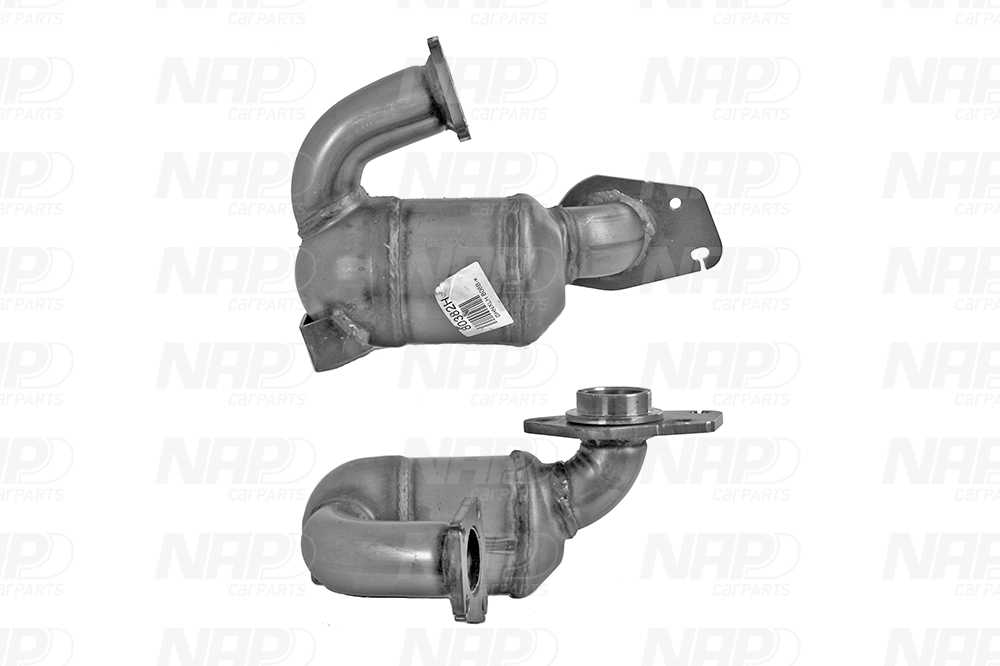 NAP Katalysator cak10198 for RENAULT NISSAN