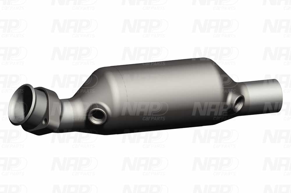 NAP Katalysator cak10206