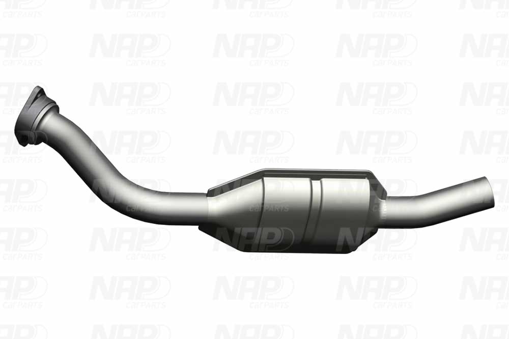 NAP Katalysator cak10217 for PEUGEOT FIAT