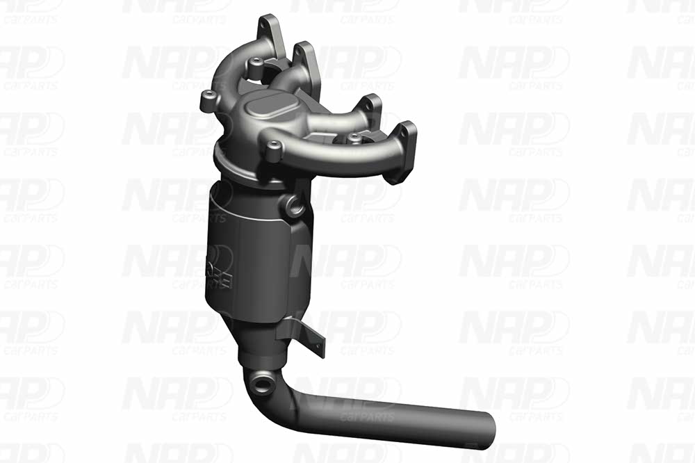 NAP Katalysator cak10222 for FIAT