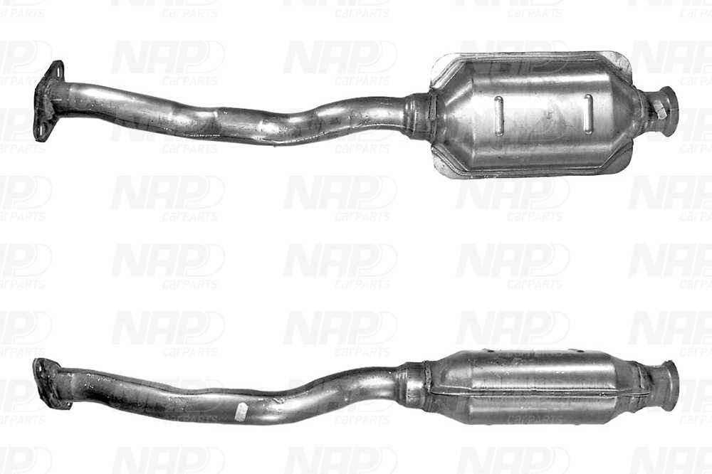NAP Katalysator cak10489 for PEUGEOT CITROËN
