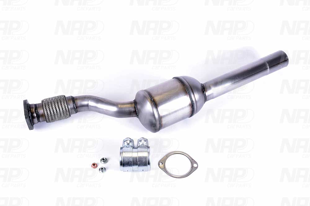 NAP Katalysator cak10589 for RENAULT