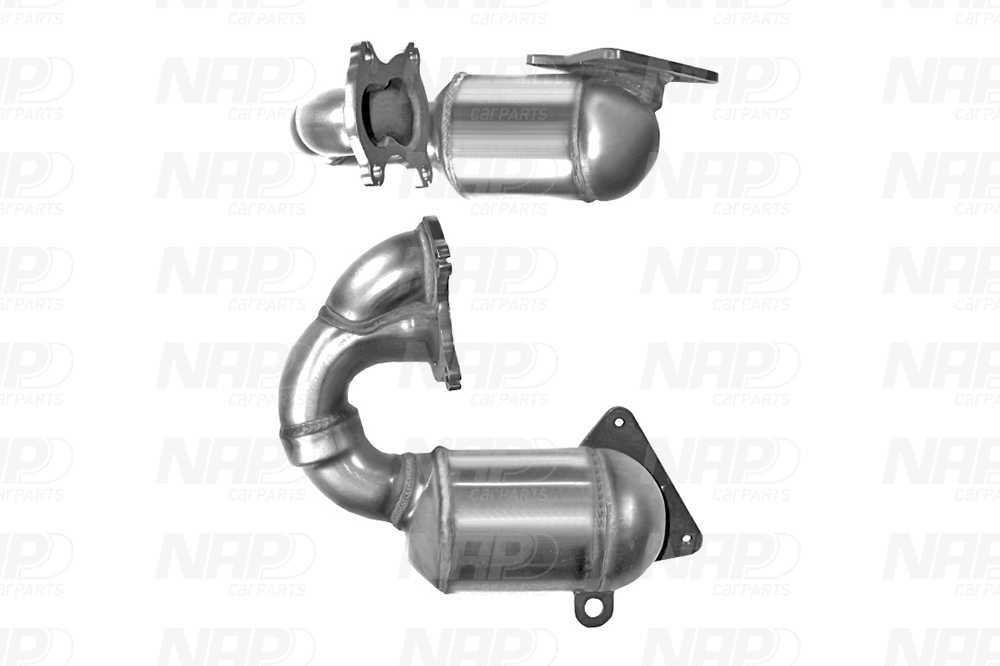 NAP Katalysator cak10598 for RENAULT