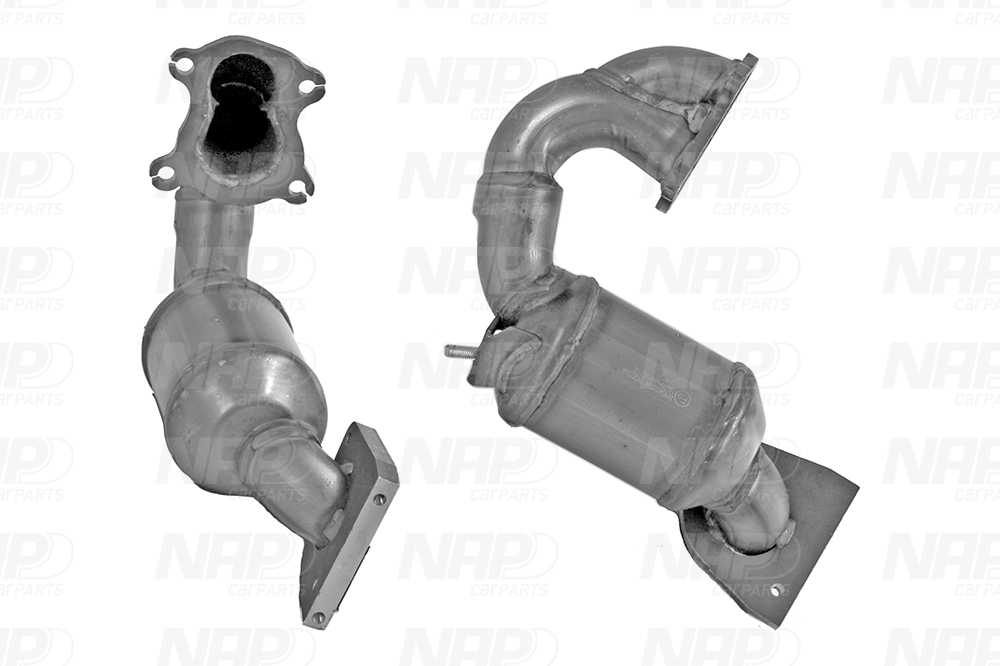 NAP Katalysator cak10602 for NISSAN OPEL VAUXHALL RENAULT