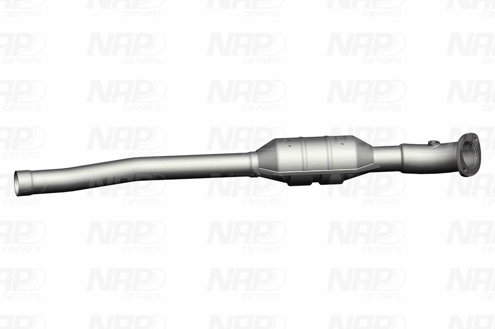 NAP Katalysator cak10617 for RENAULT