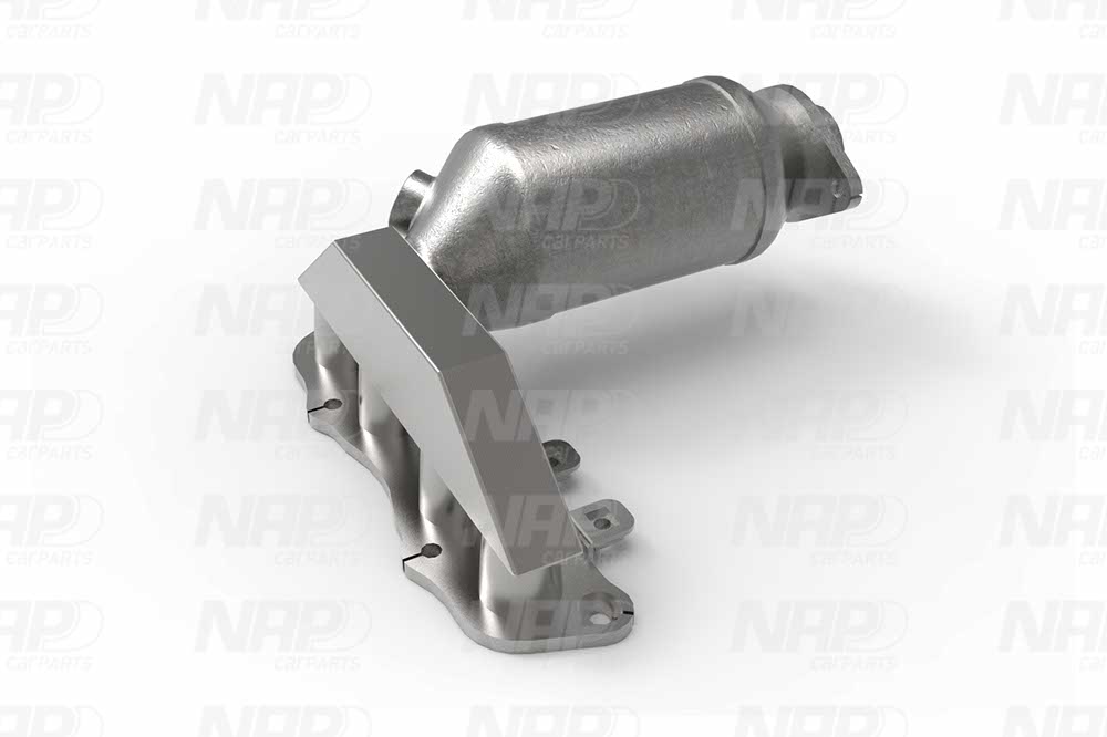 NAP Katalysator cak10713 for TOYOTA