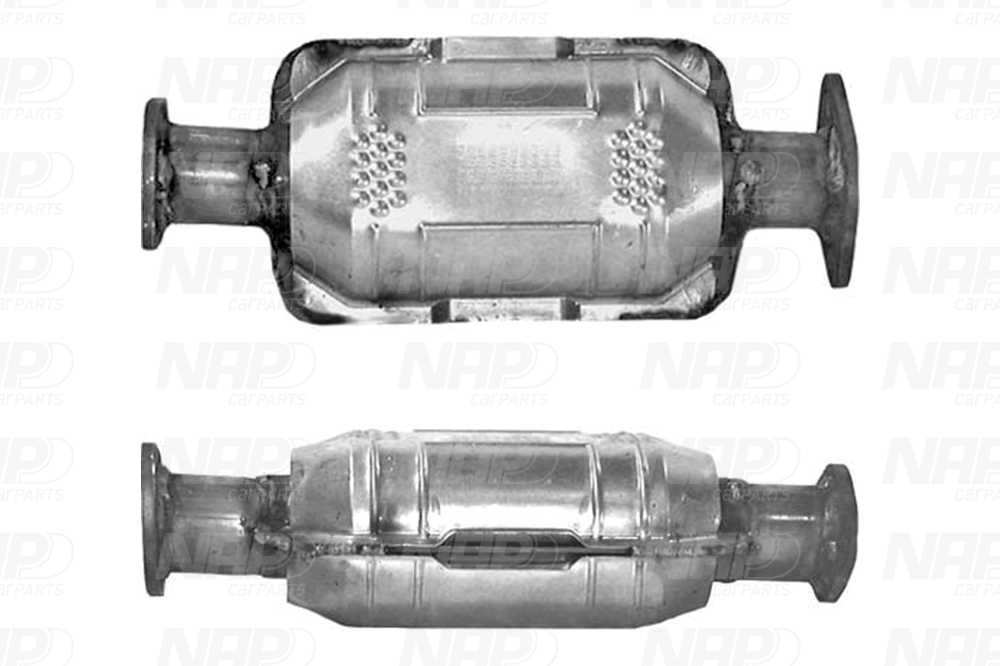 NAP Katalysator cak10893 for HYUNDAI