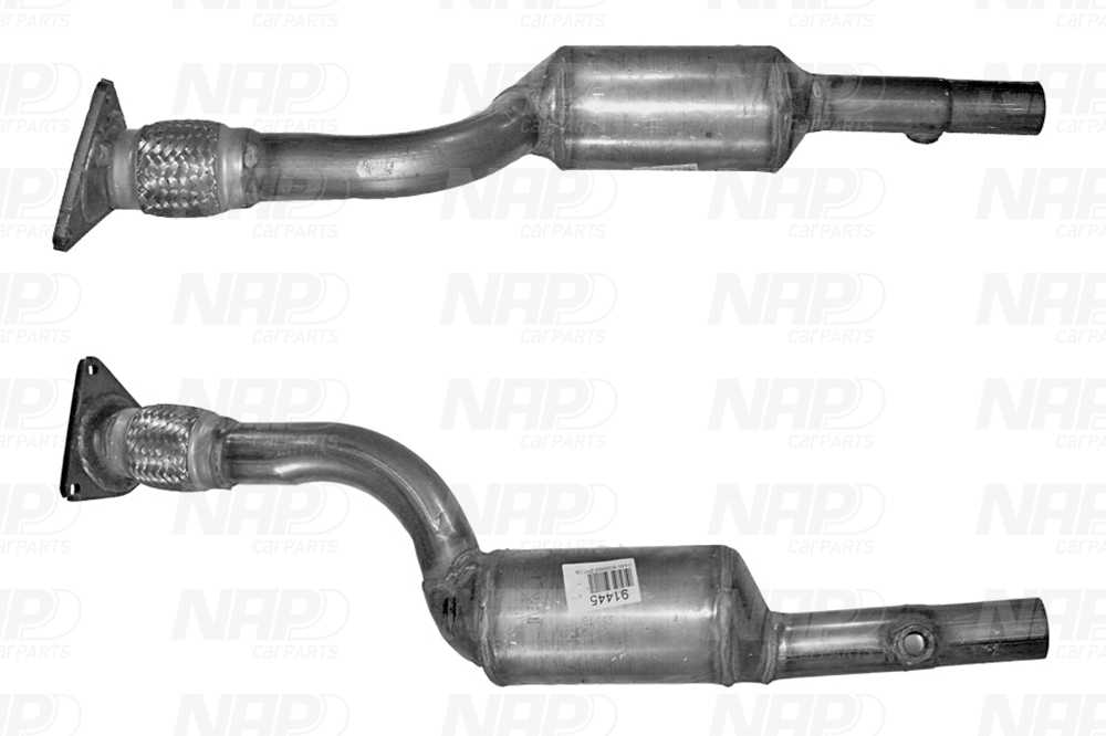 NAP Katalysator cak11171 for RENAULT