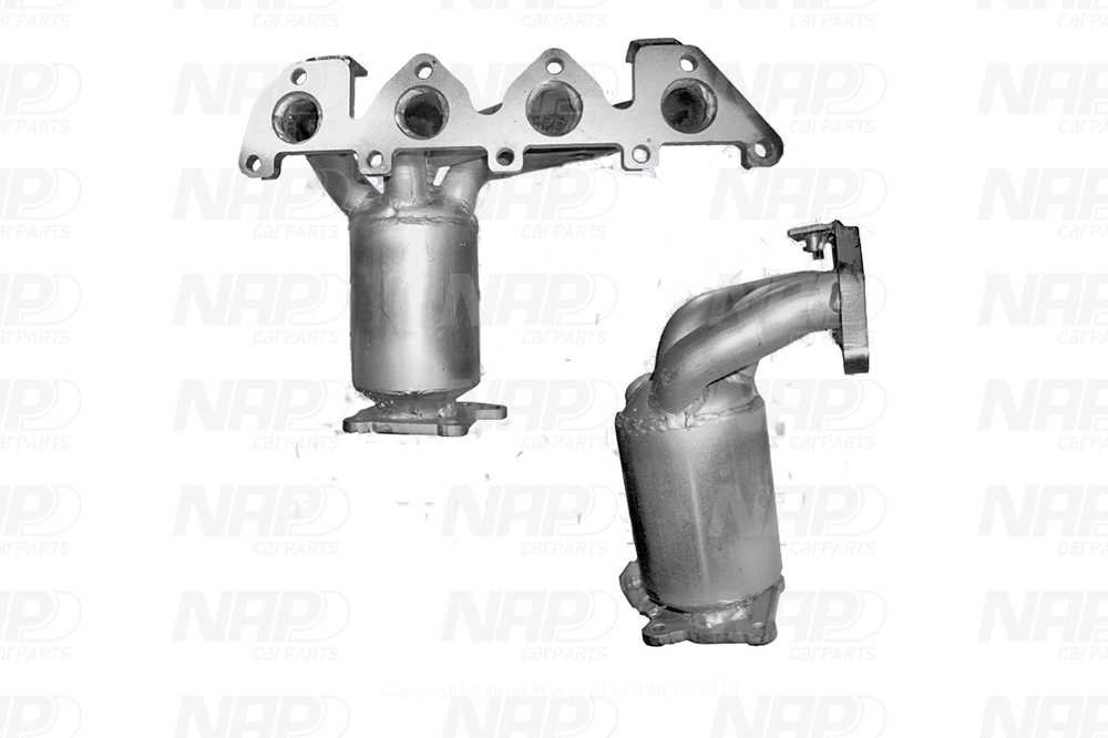 NAP Katalysator cak11187 for SEAT VW