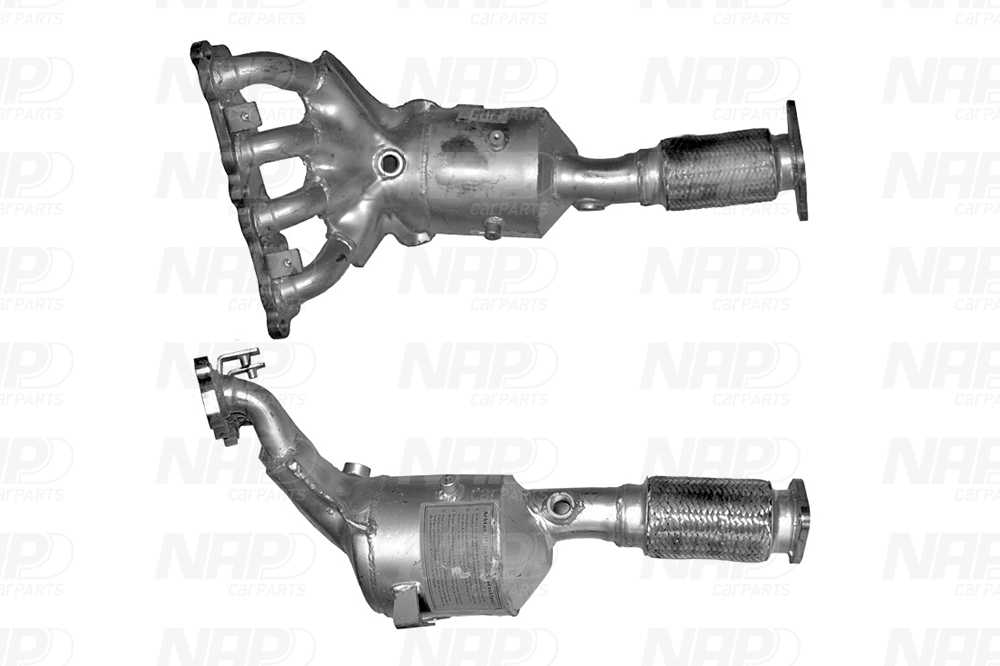 NAP Katalysator cak11197 for FORD MAZDA