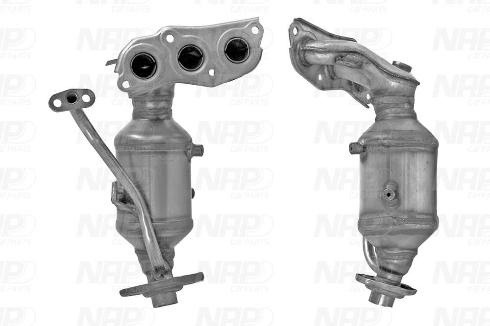 NAP Katalysator cak11270 for TOYOTA