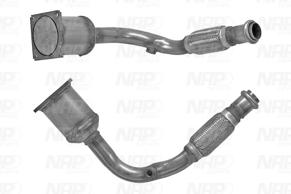 NAP Katalysator cak11277 for PEUGEOT