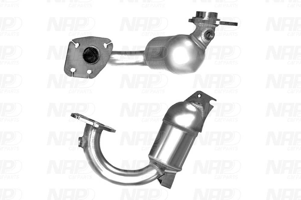 NAP Katalysator cak11285 for RENAULT