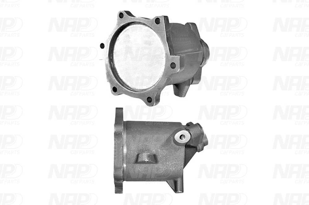 NAP Katalysator cak11301 for NISSAN