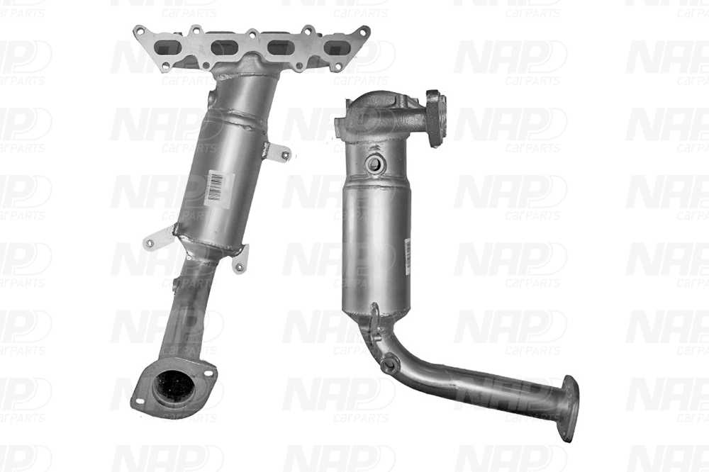 NAP Katalysator cak11353 for FIAT