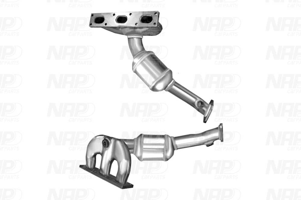 NAP Katalysator cak11355 for BMW