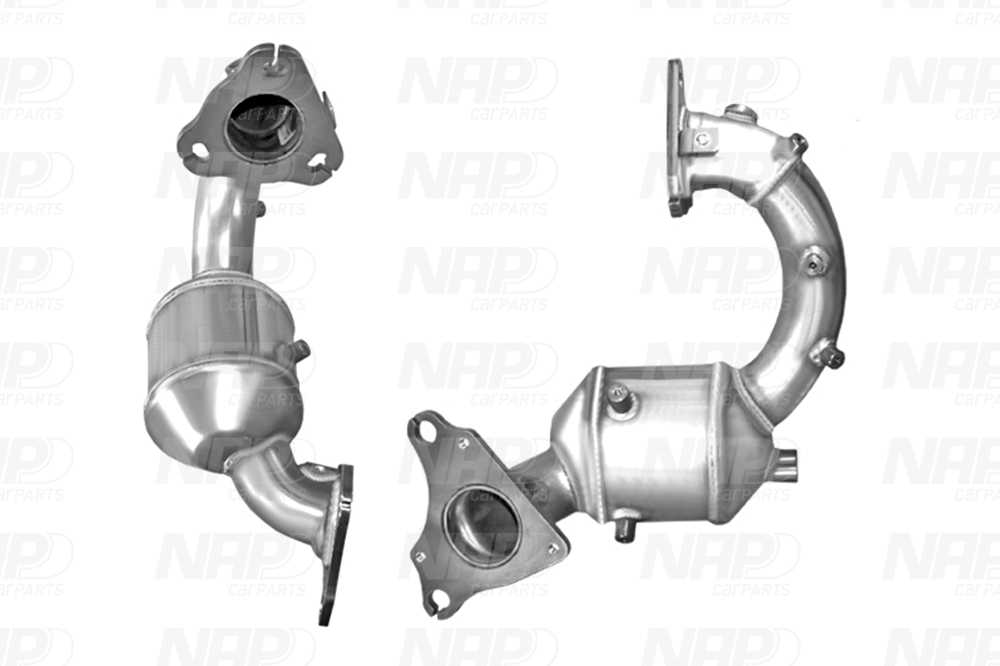 NAP Katalysator cak11373 for RENAULT