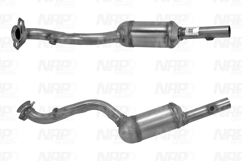 NAP Katalysator cak11382 for RENAULT