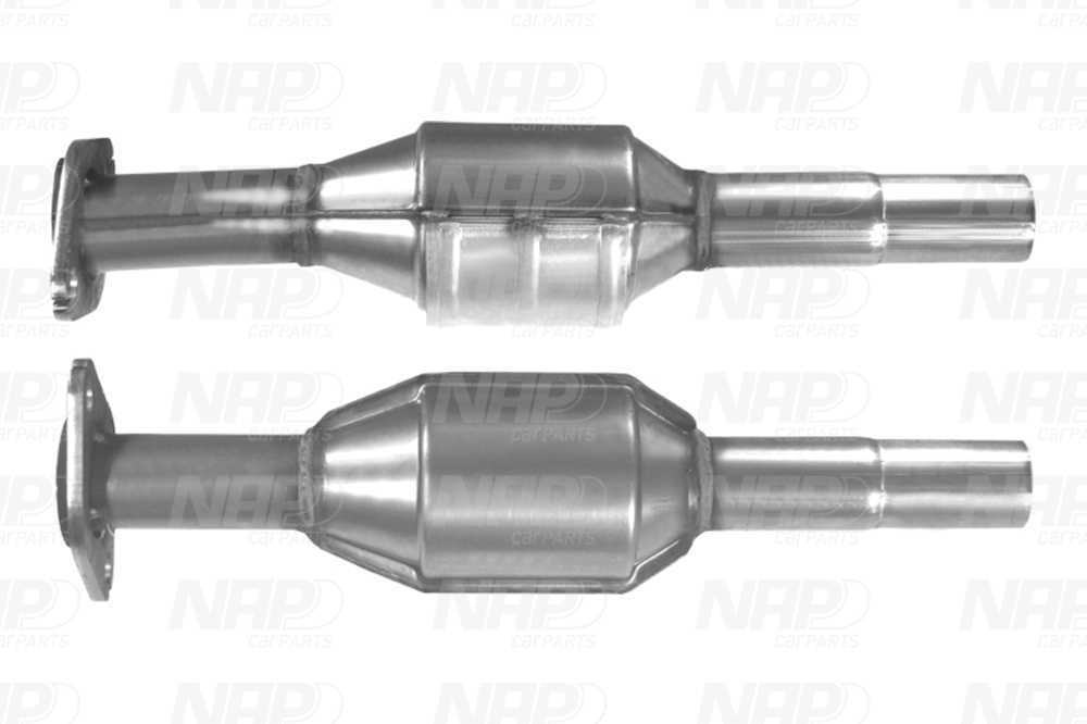 NAP Katalysator cak11393 for VOLVO