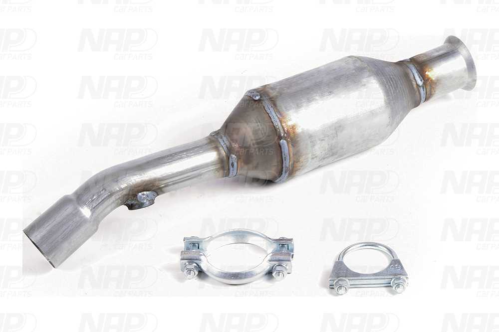 NAP Katalysator cak11498 for TOYOTA