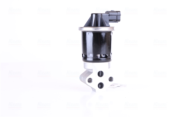NISSENS EGR-ventil 98247 for DAEWOO
