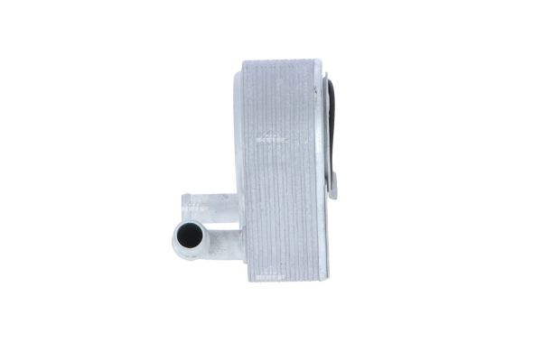 NRF Oliekøler, motorolie 31069 for FORD