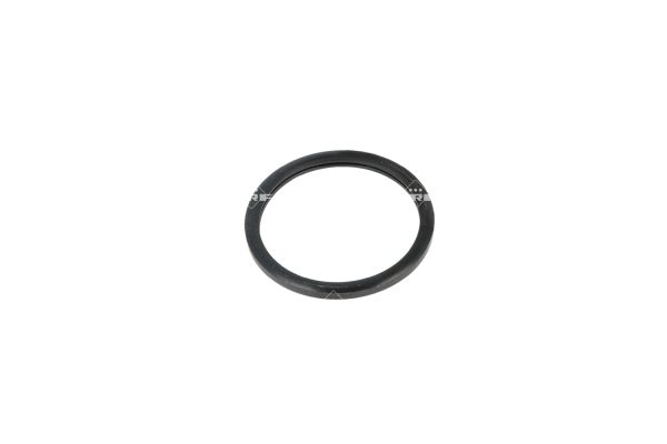 NRF Termostat, kølemiddel 725089 for RENAULT