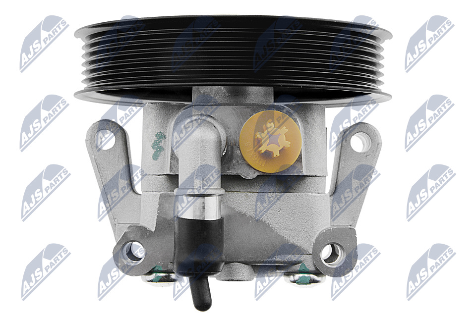 NTY Hydraulikpumpe, styresystem SPW-JG-001 for JAGUAR