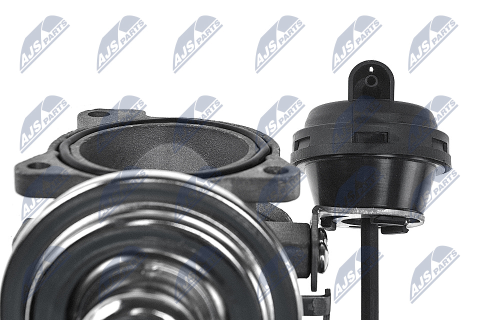 NTY EGR-ventil egrau000 for FORD VAG