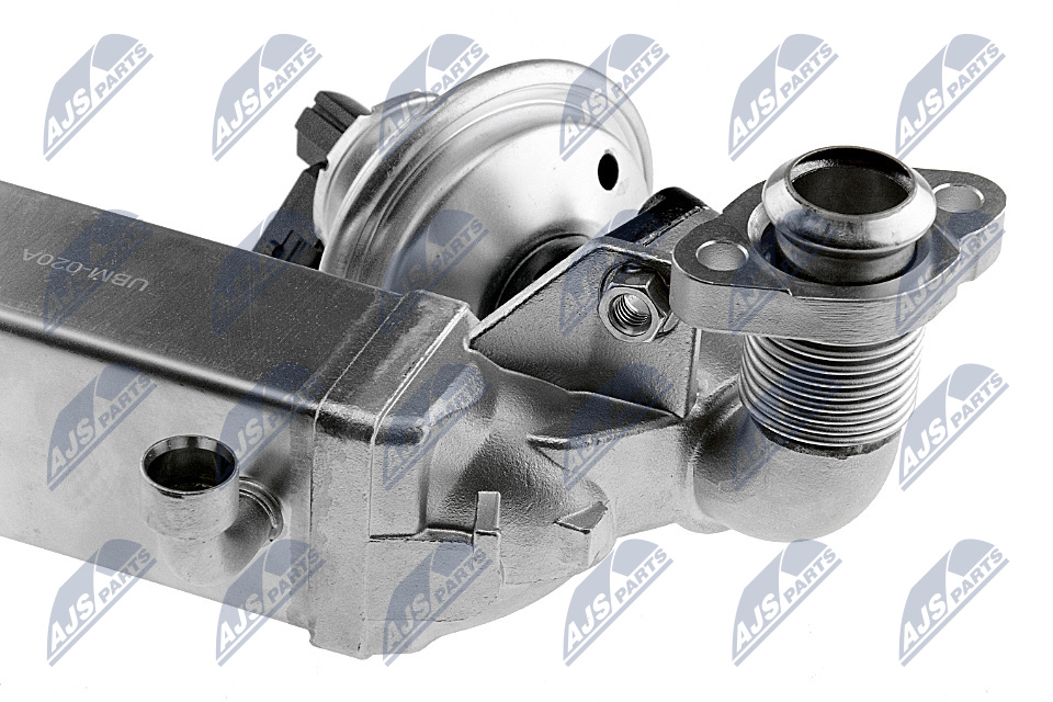 NTY EGR-ventil EGR-BM-011A for BMW