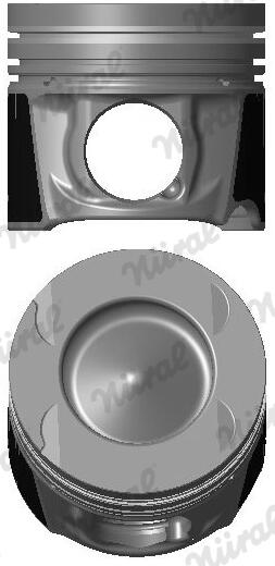 NÜRAL Stempel 87-424900-00 for RENAULT