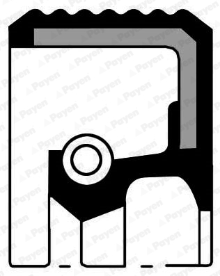 PAYEN Pakdåse, knastaksel na5001 for FORD VOLVO VW SEAT WARTBURG