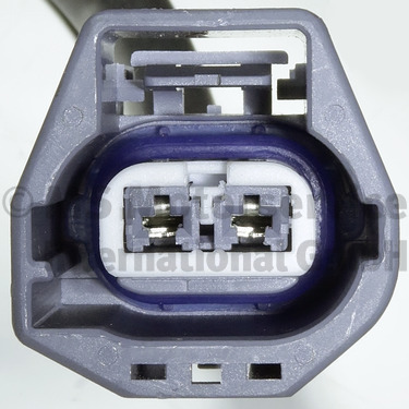 PIERBURG Vakuumpumpe, bremsesystem 702551410 for VAUXHALL CHEVROLET BUICK CADILLAC BUICK (SGM)