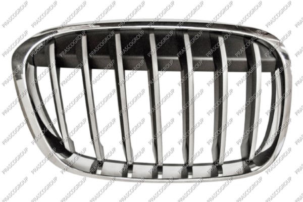 PRASCO Kølergitter bm7062013 højre for BMW