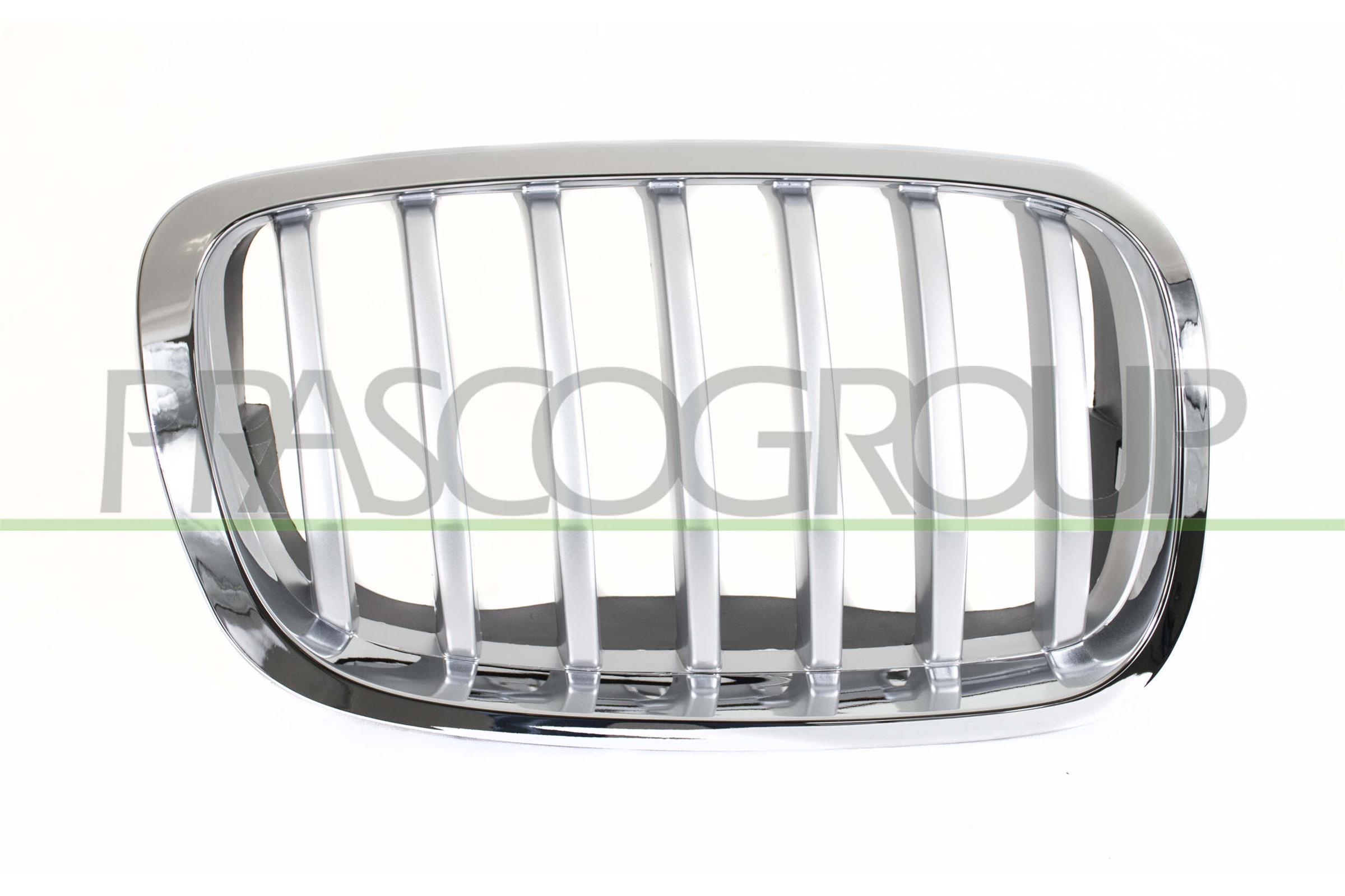 PRASCO Kølergitter bm8402033 højre for BMW