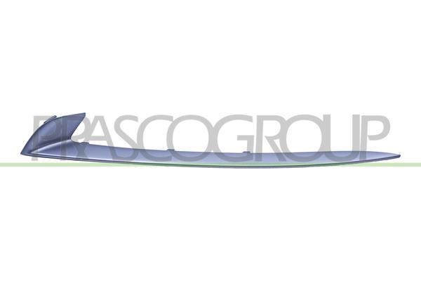 PRASCO Pynte-/beskyttelsesliste, kofanger BM0502204 foran til venstre for BMW