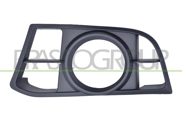 PRASCO Kofangergitter BM0512124 foran til venstre for BMW