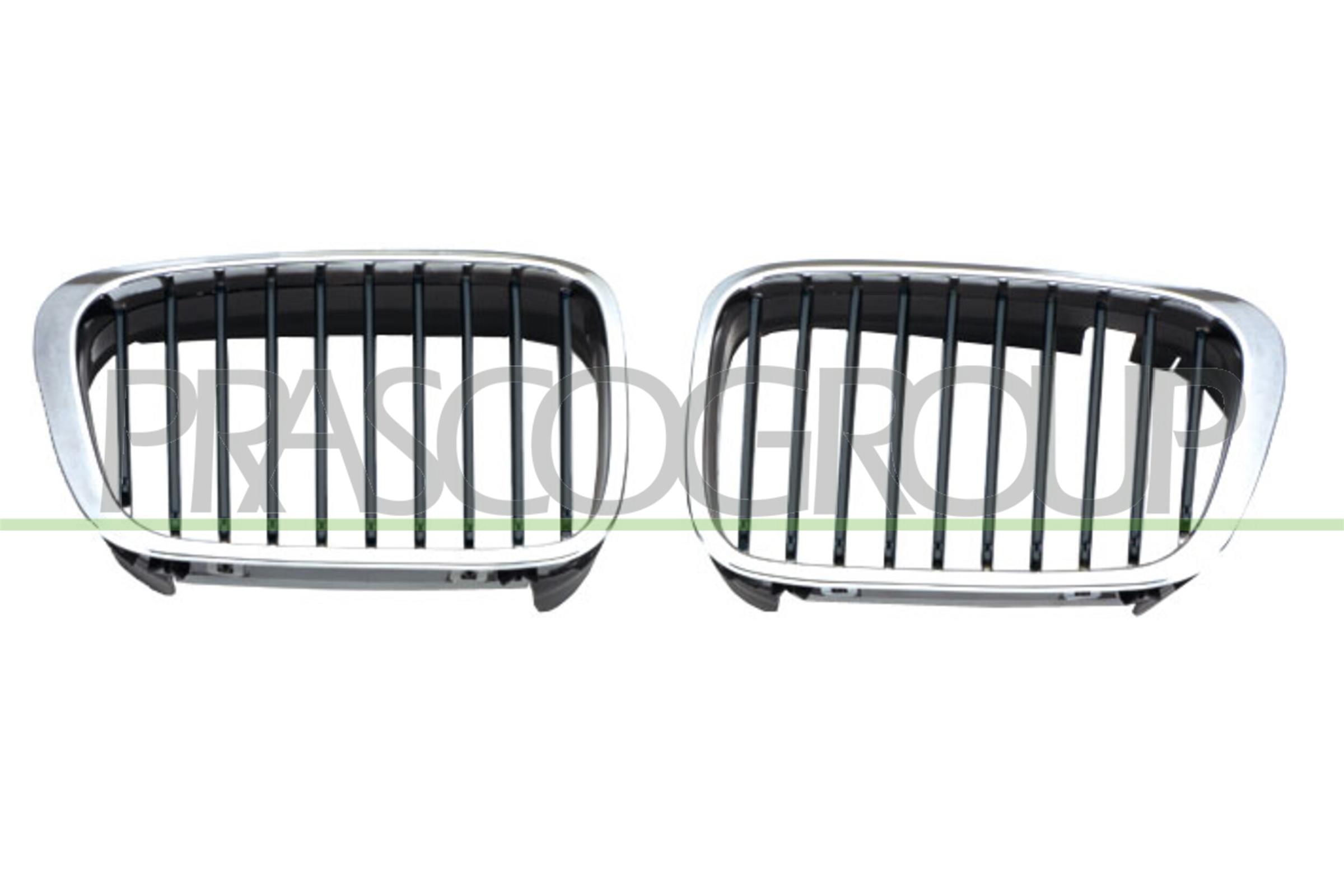 PRASCO Kølergitter bm0182024 venstre for BMW