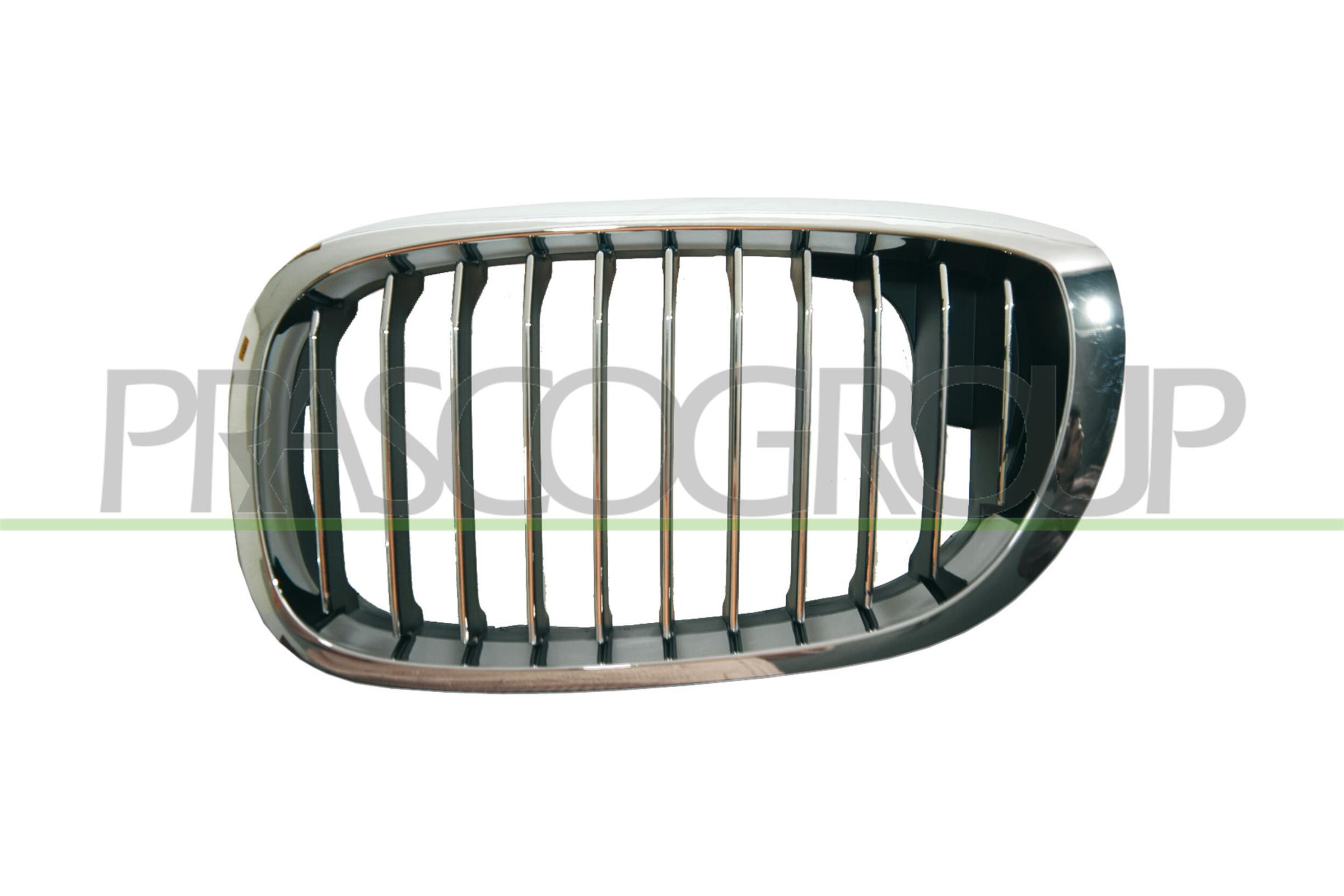 PRASCO Kølergitter bm0212014 venstre for BMW