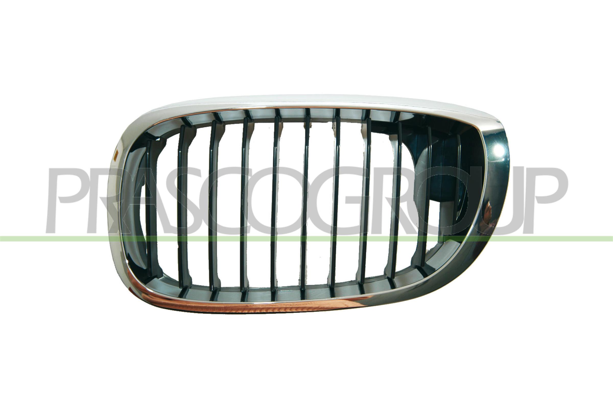 PRASCO Kølergitter bm0212004 venstre for BMW