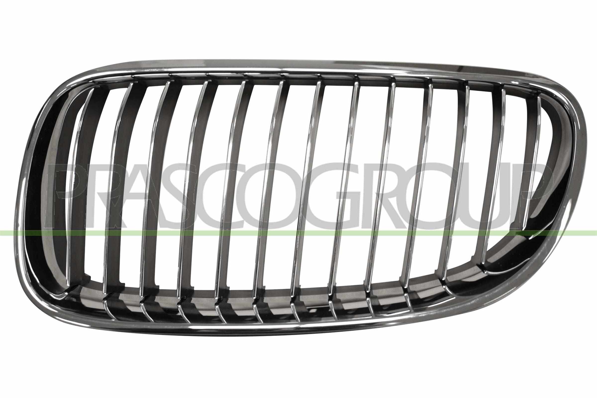PRASCO Kølergitter bm0252034 venstre for BMW