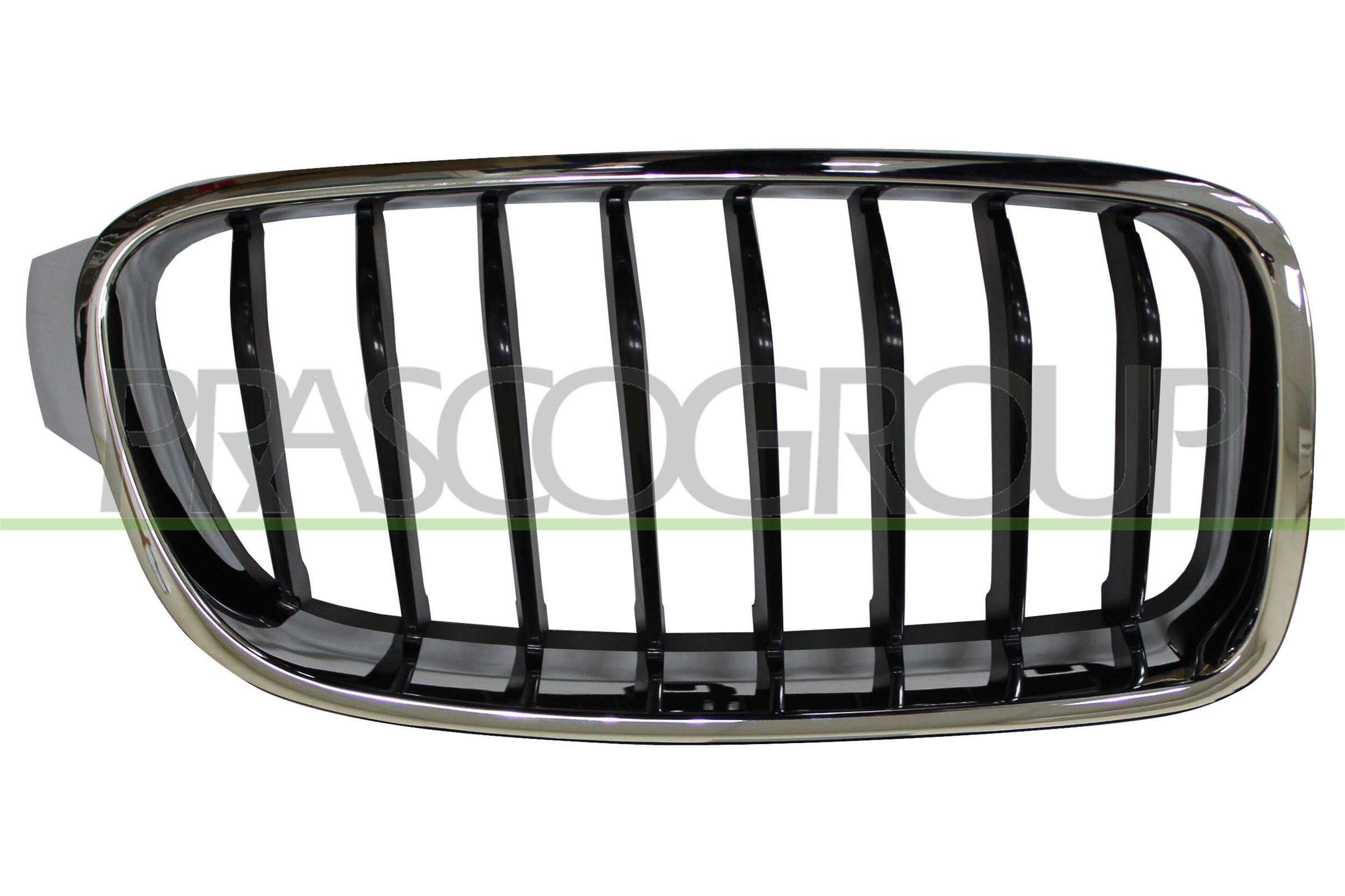 PRASCO Kølergitter bm0282023 højre for BMW