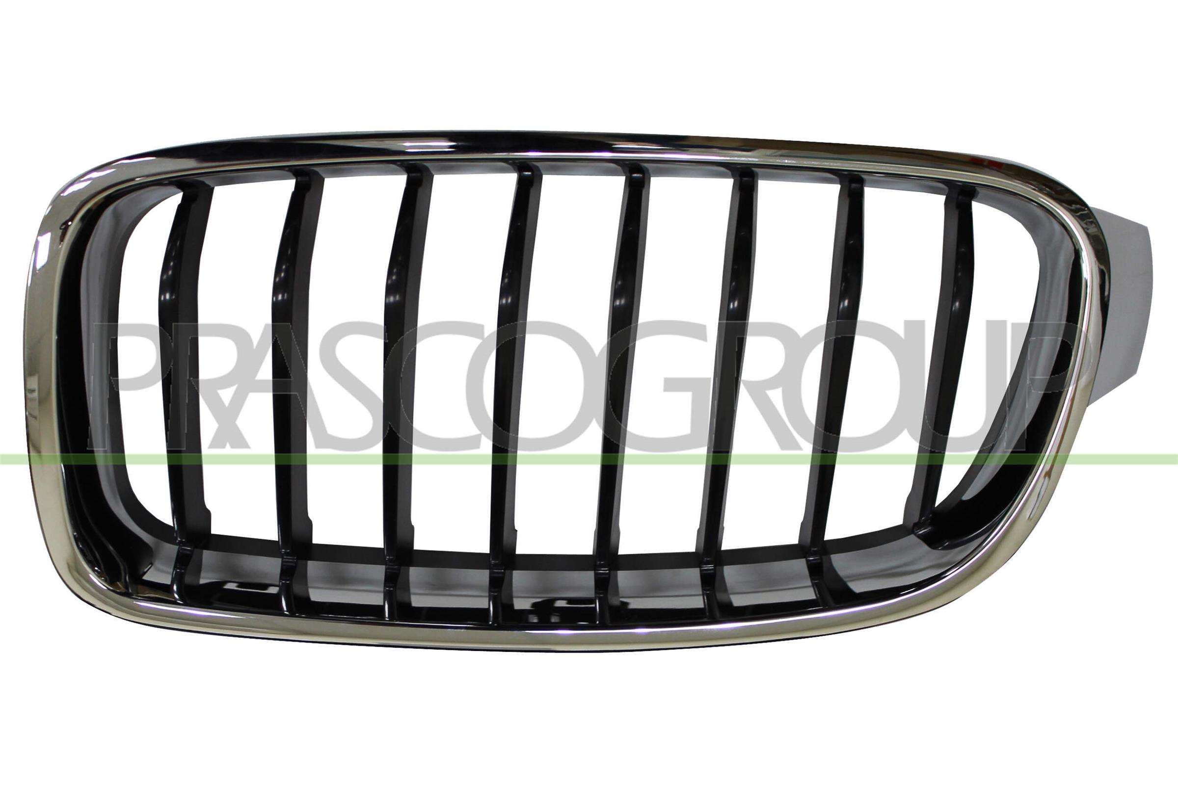 PRASCO Kølergitter bm0282024 venstre for BMW