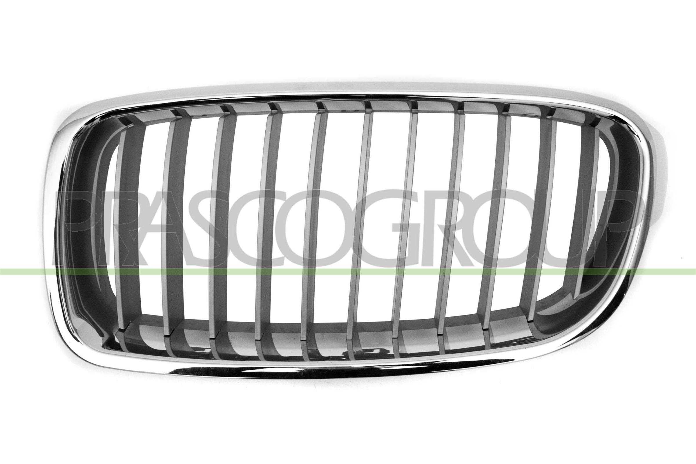 PRASCO Kølergitter bm0282034 venstre for BMW