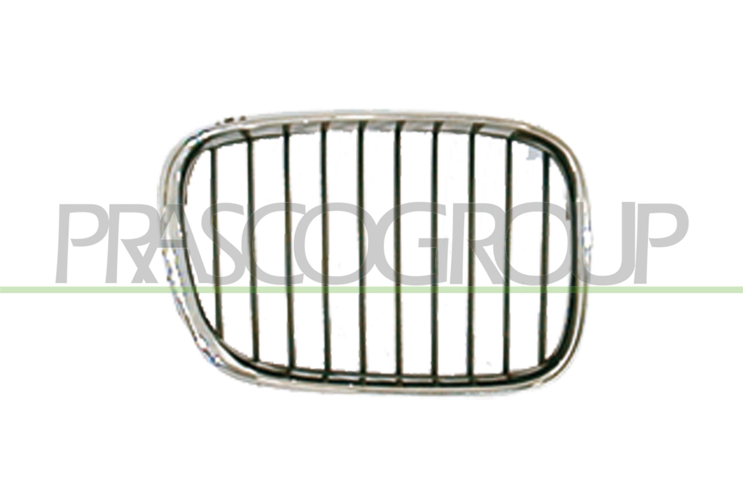 PRASCO Kølergitter bm0442103 højre for BMW